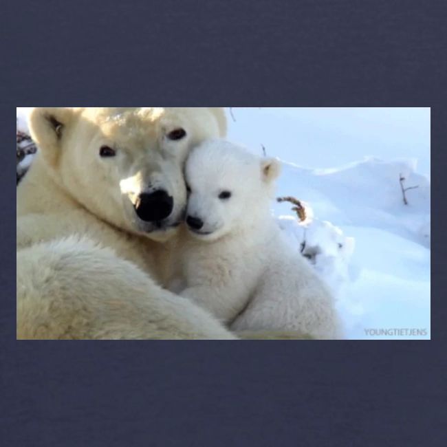 polarbearhug