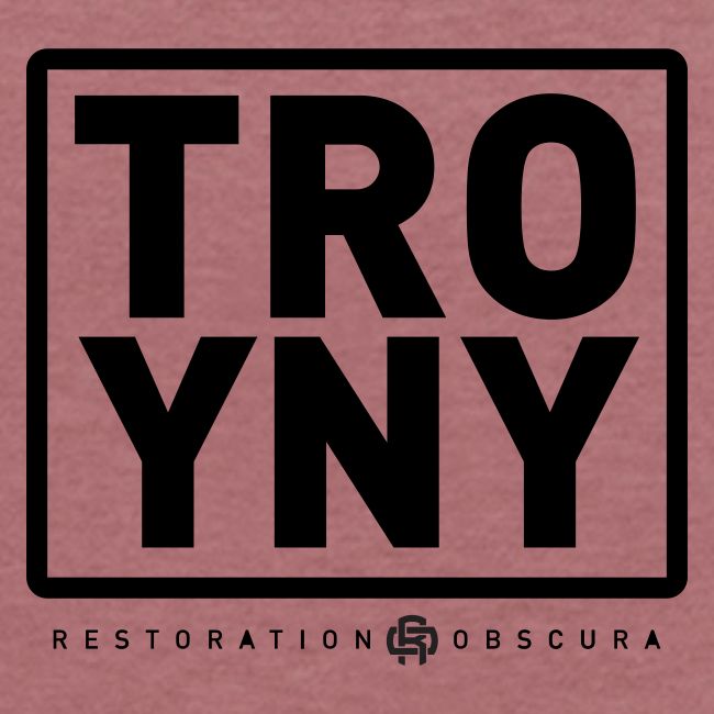 TROY NY Cube