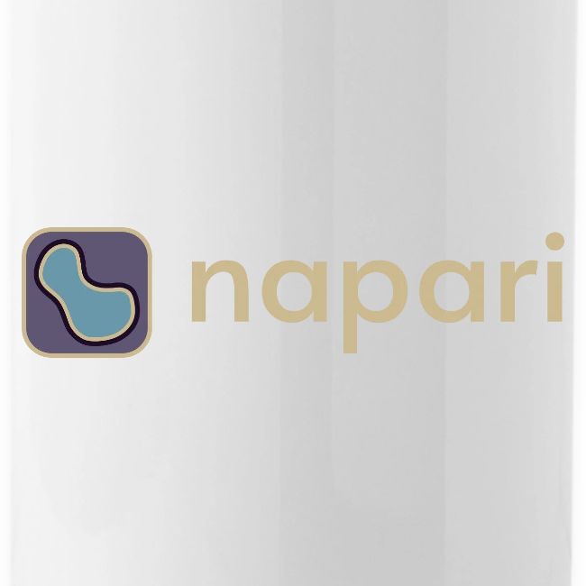 napari merch (lighter design)