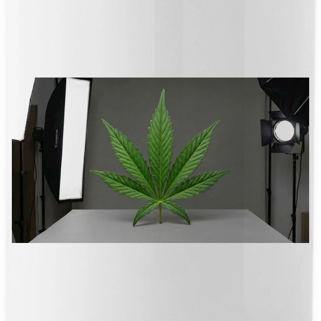 ***CANNABIS LEAF TEE***
