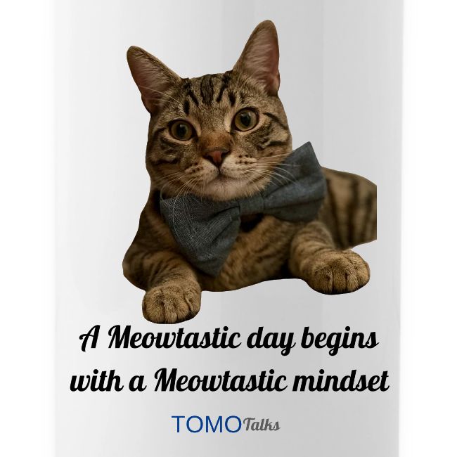 Meowtastic Mindset