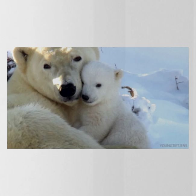polarbearhug