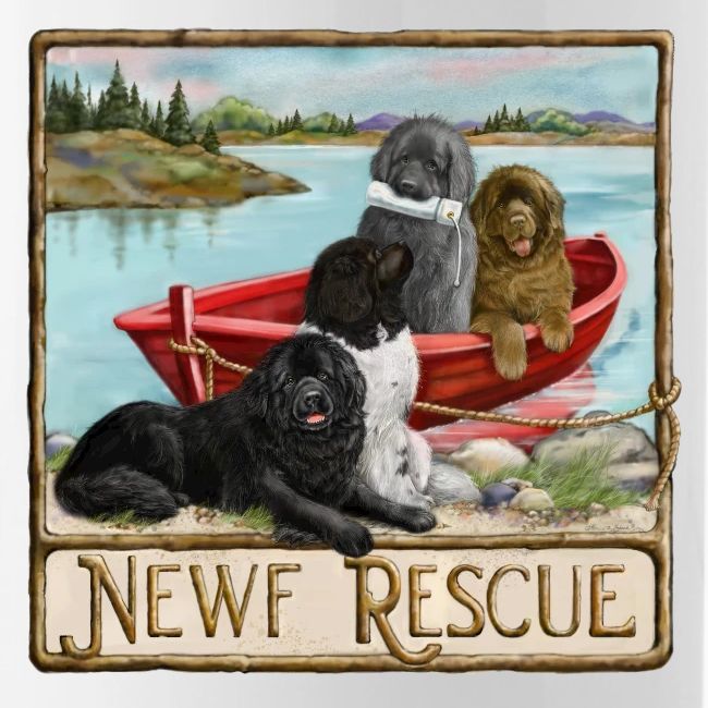 NCA Newfoundland Dog Rescue Gear