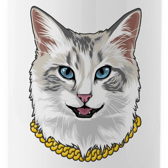 Cashmere the Cat