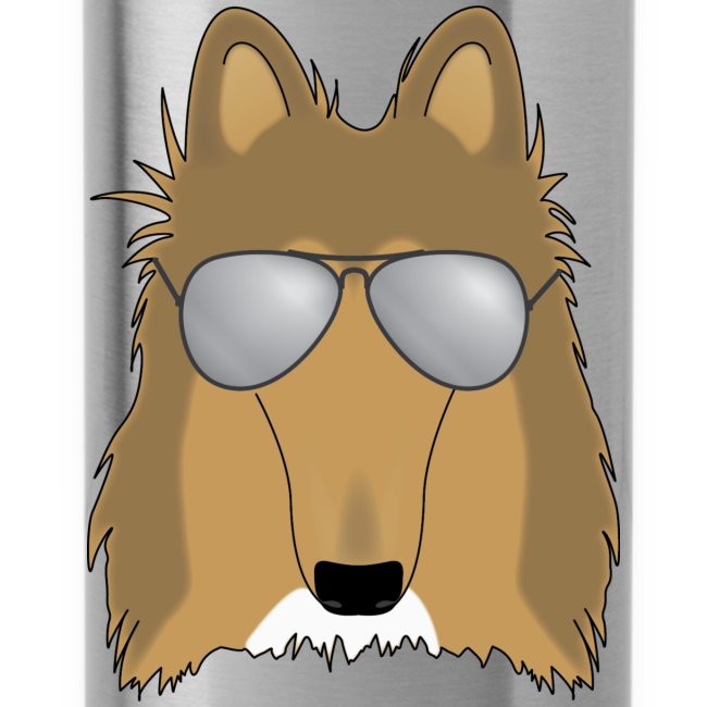 Cool Collie