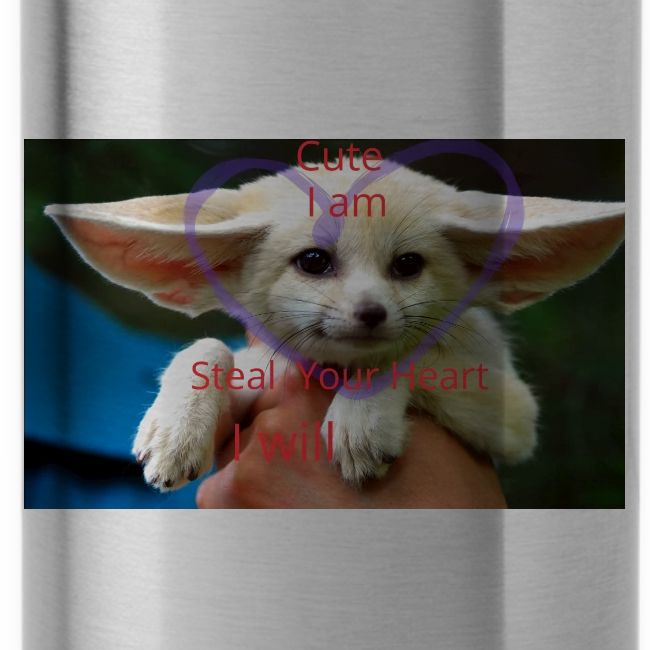 baby fox