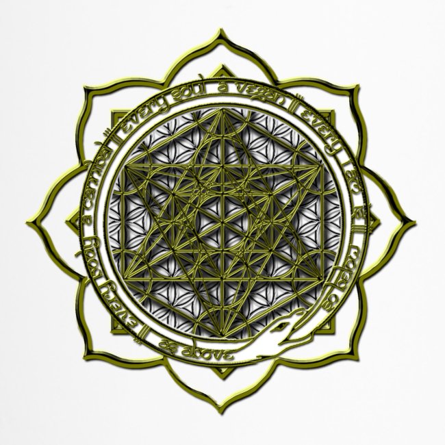 Energy Immersion, Metatron's Cube Flower of Life