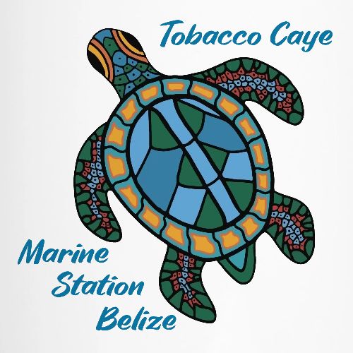 tobacco logo Tobacco logo vector, Creative Tobacco logo design template 25254508 Vector  Art at Vecteezy