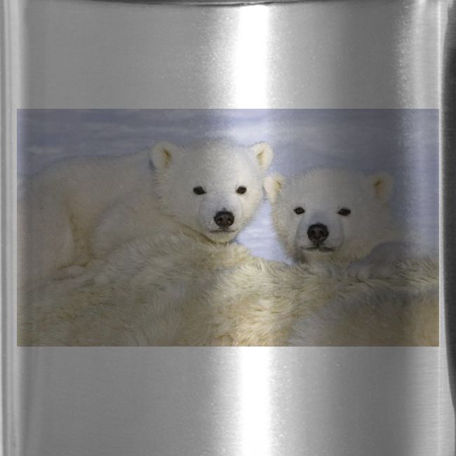 polarbears