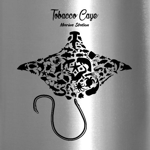 tobacco effects on pregnancy What effects does smoking during pregnancy have on the baby?