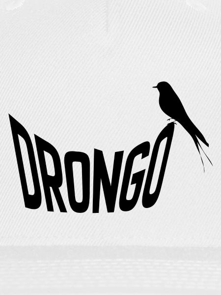 drongo