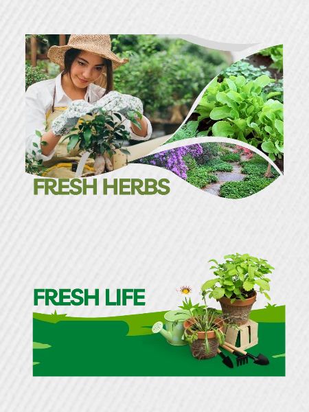 Fresh_Herbs Fresh Life