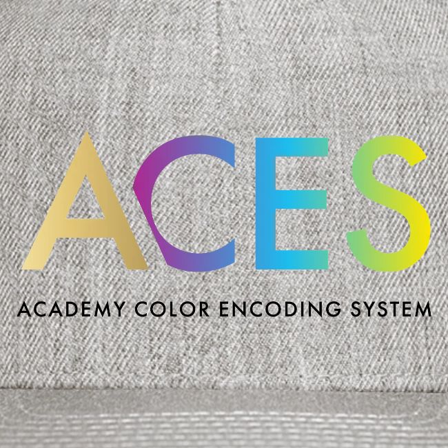Academy Color Encoding System (ACES)