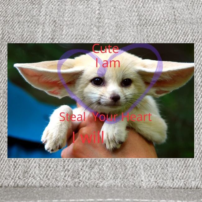 baby fox