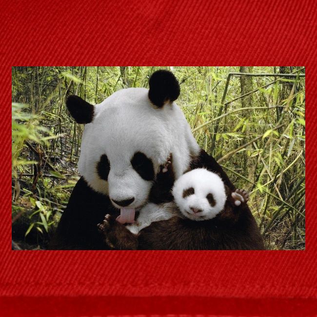 panda