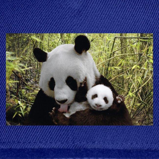 panda