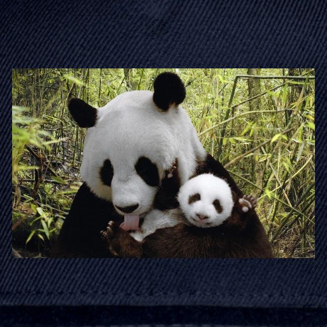 panda