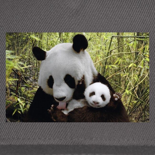 panda