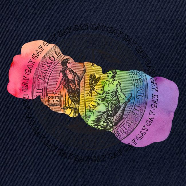 The Gay State of North Carolina