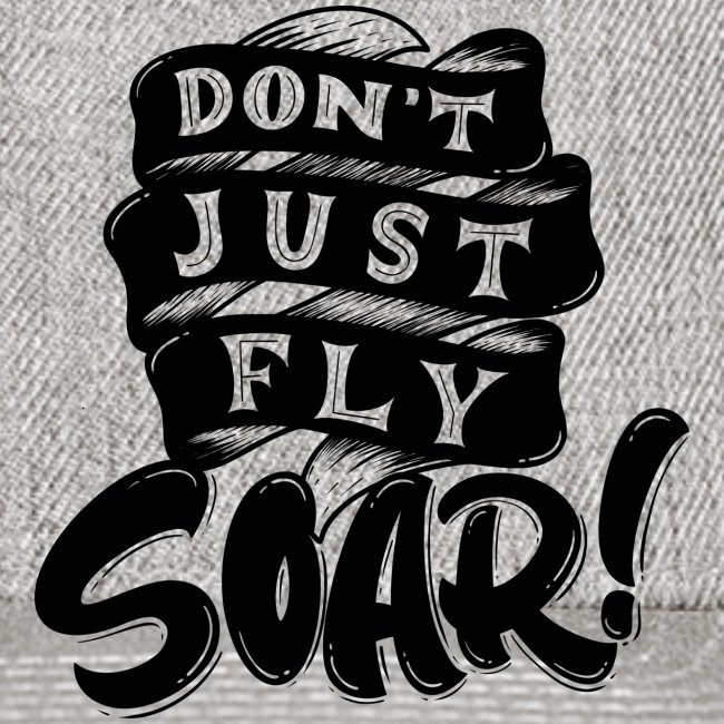 Don't Just Fly Soar
