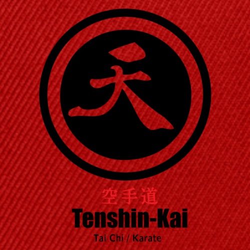 Tenshin-kai - Logo - T-shirt - Snapback Baseball Cap
