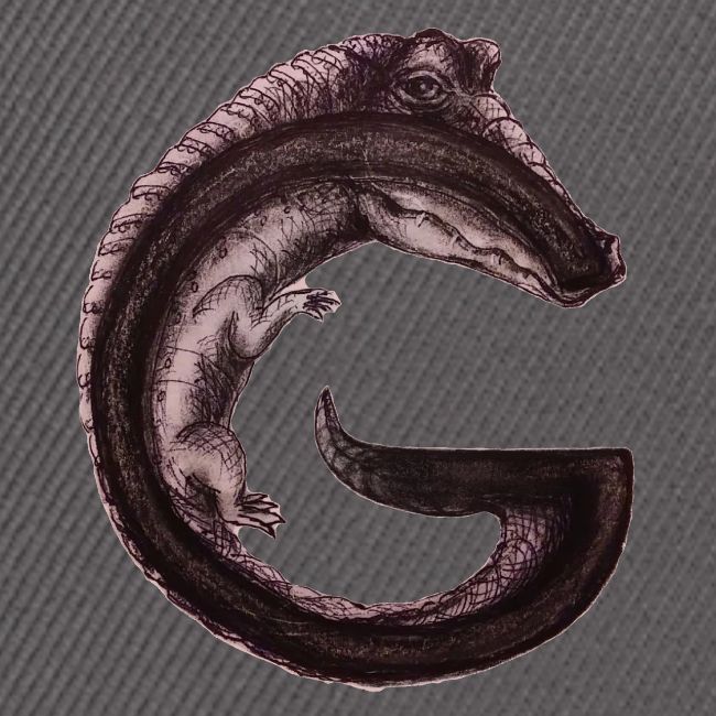 gator transparent BG