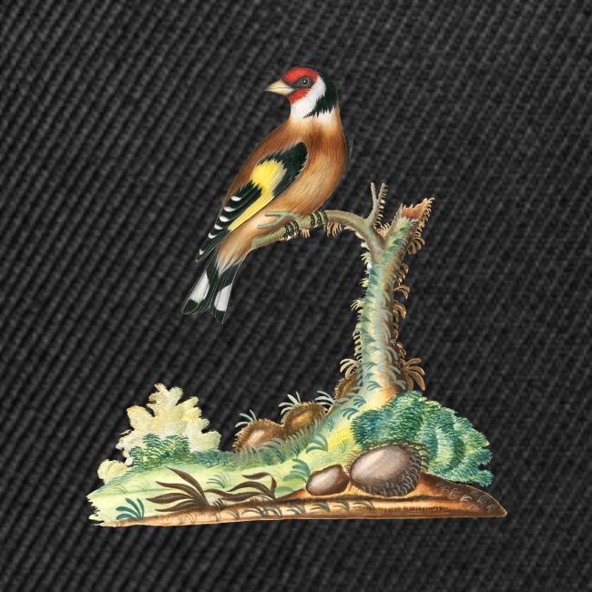 European goldfinch
