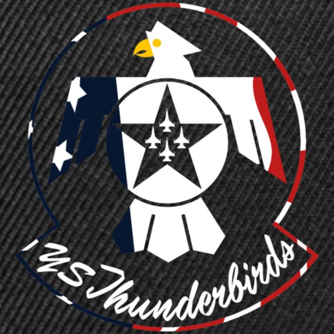 Logo YS Thunderbirds