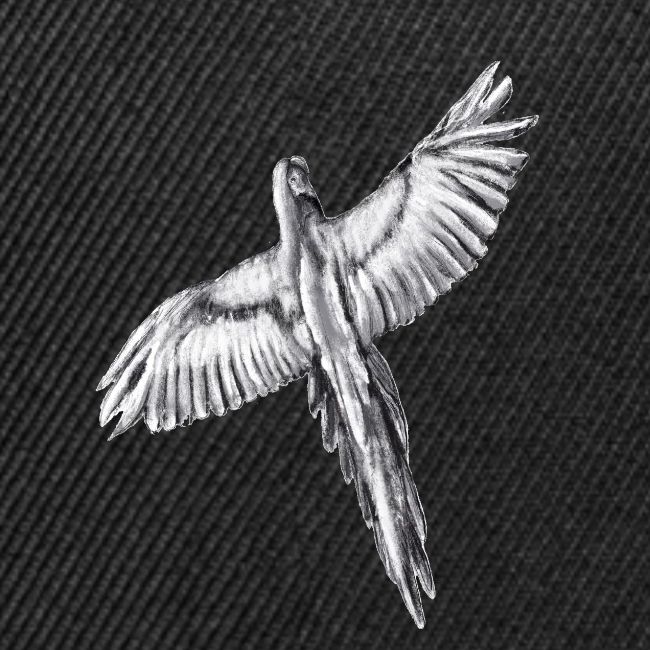 Flying parrot