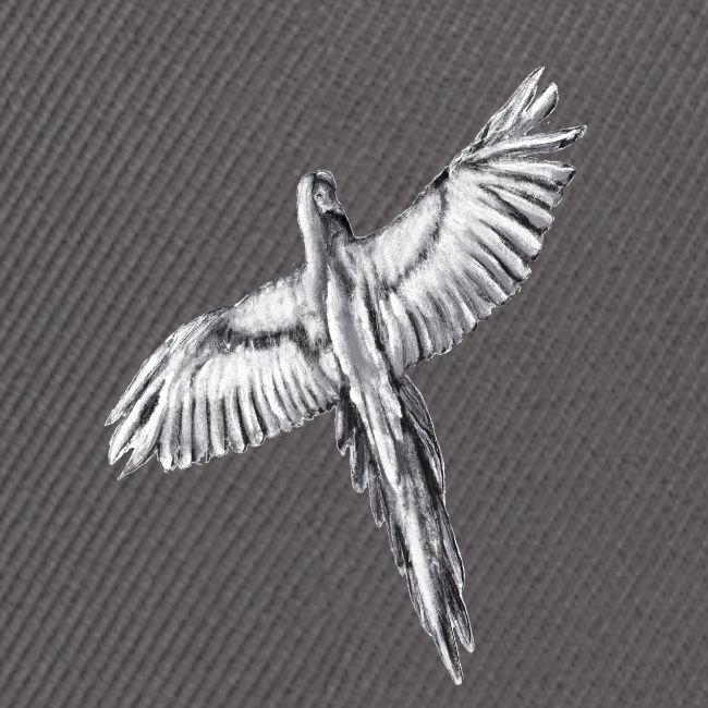 Flying parrot