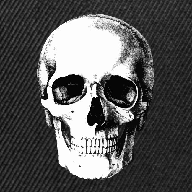 Human Skull