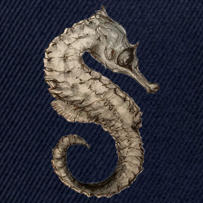 seahorse sea horse