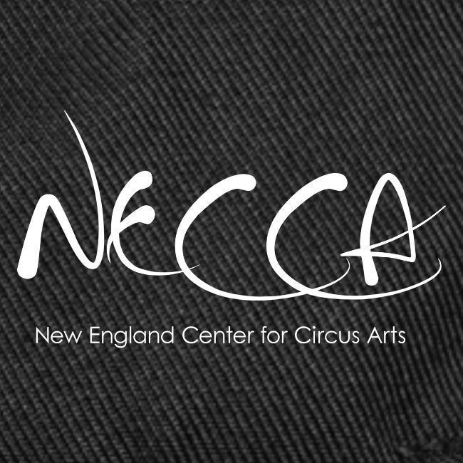 NECCA Pride Shirt