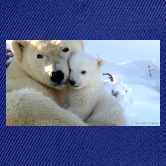polarbearhug