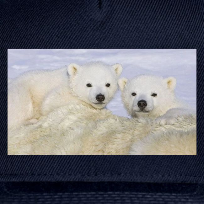 polarbears