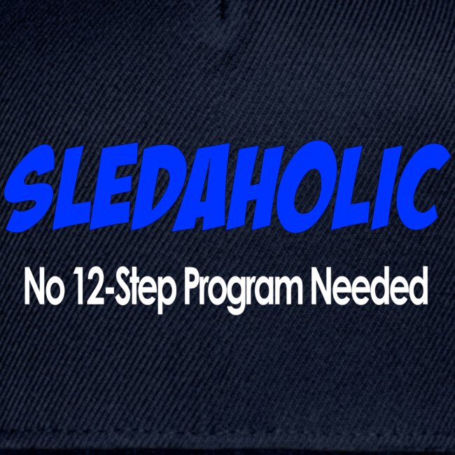 Sledaholic 12 Step Program