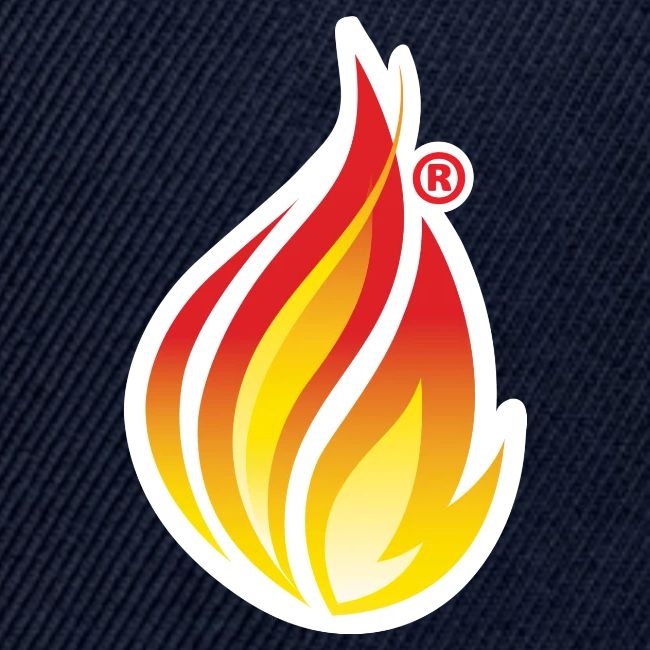 HL7 FHIR Flame graphic with white background
