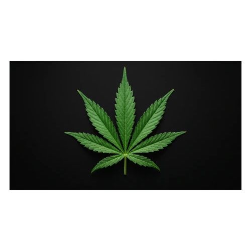 ***CANNABIS LEAF TEE*** - Men's Premium T-Shirt