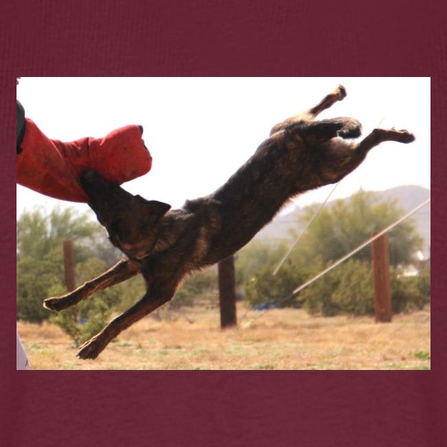 Dutch Shepherd