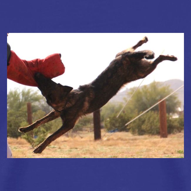 Dutch Shepherd