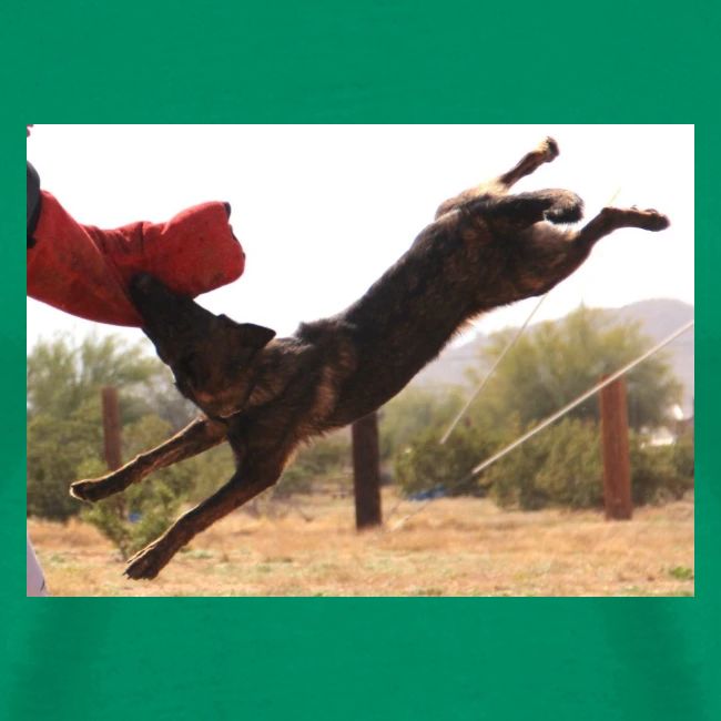 Dutch Shepherd