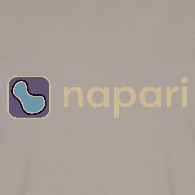 napari merch (lighter design)