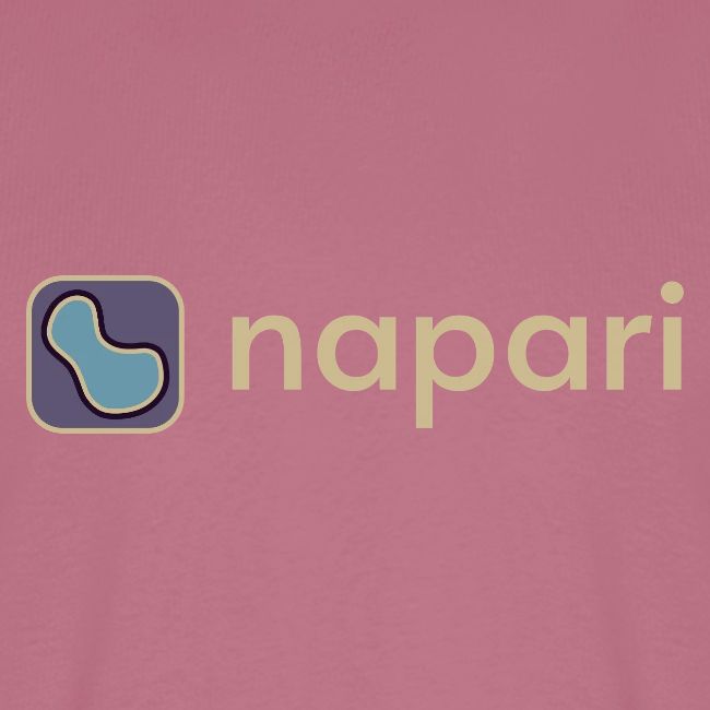 napari merch (lighter design)