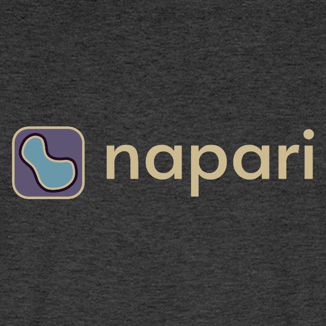 napari merch (lighter design)