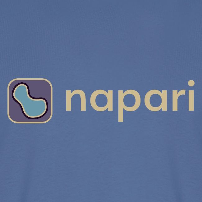 napari merch (lighter design)