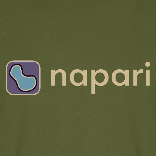 napari merch (lighter design)