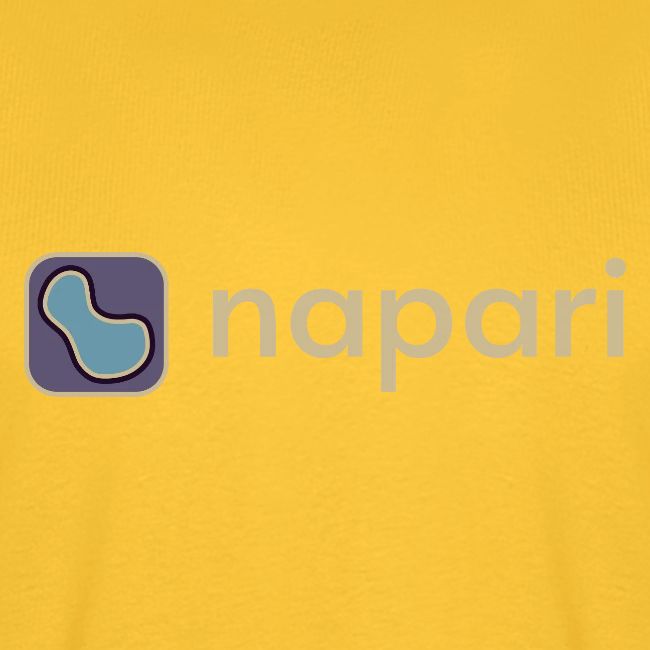napari merch (lighter design)