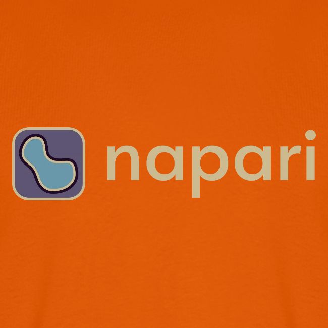 napari merch (lighter design)