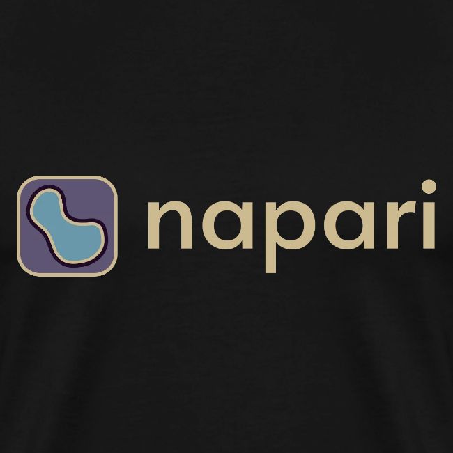 napari merch (lighter design)