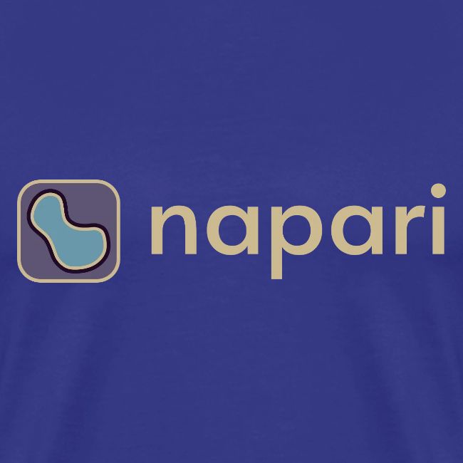 napari merch (lighter design)